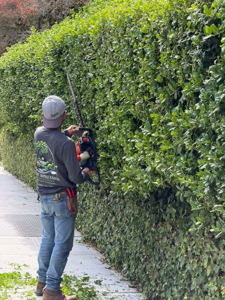 First Impression Landscaping team member in branded uniform trimming a hedge